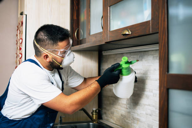 Best Cockroach Control Services  in Provo, UT