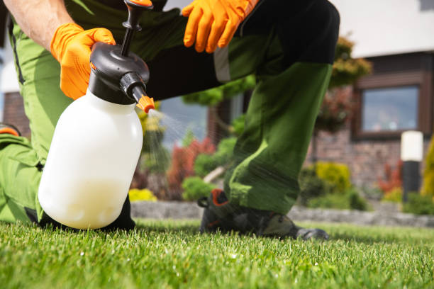 Best Pest Prevention Services  in Provo, UT