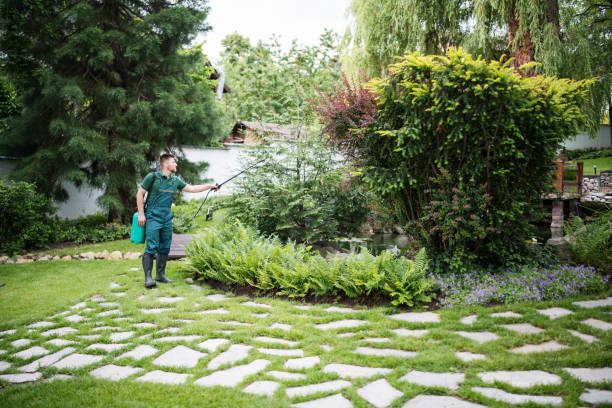 Best Pest Control for Businesses  in Provo, UT