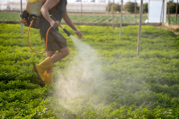 Best Pest Control Near Me  in Provo, UT