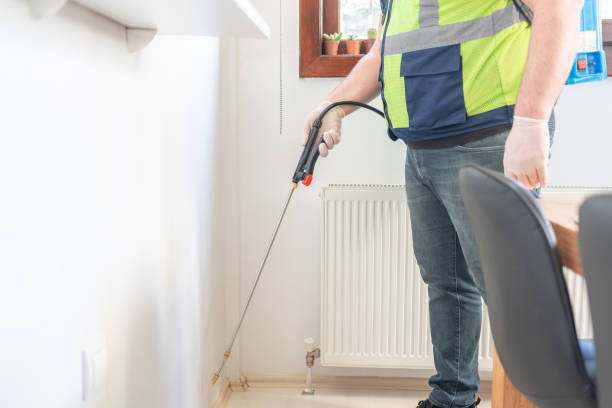Best Pest Control Treatment  in Provo, UT