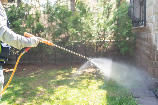 Best Emergency Pest Control  in Provo, UT
