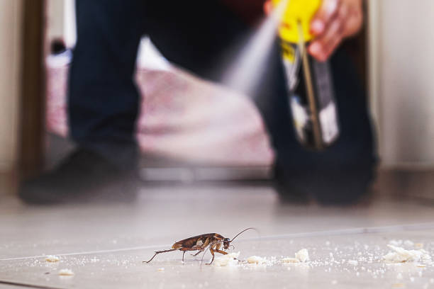 Best Best Pest Control Companies  in Provo, UT