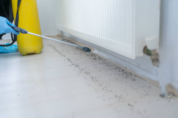 Best Best Pest Control Companies  in Provo, UT