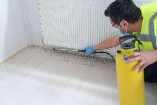 Best Commercial Pest Control Services  in Provo, UT