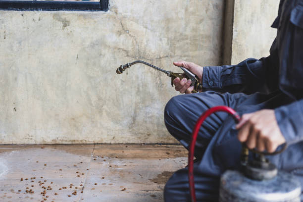 Best Pest Inspection Near Me  in Provo, UT
