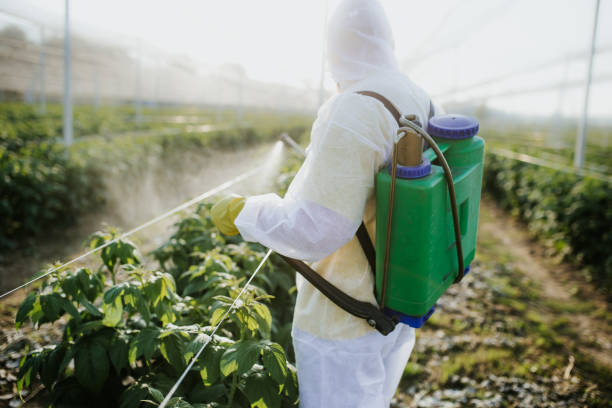 Best Pest Prevention Services  in Provo, UT